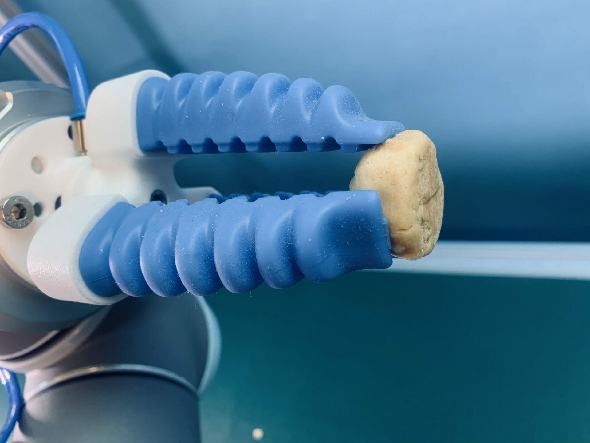 prélèvement de biscuits sur une plaque de cuisson à l'aide d'un cobot