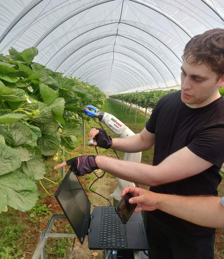robotic setup of Mifood, teaching the robot farming strawberries
