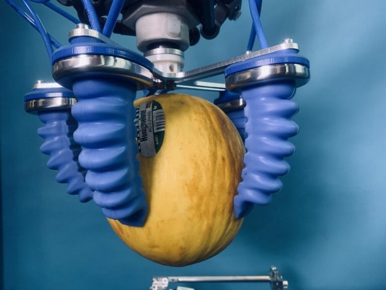 GorillaFingers für Sack- und Netzware 11 A honeymelon in GorillaFinger grasp