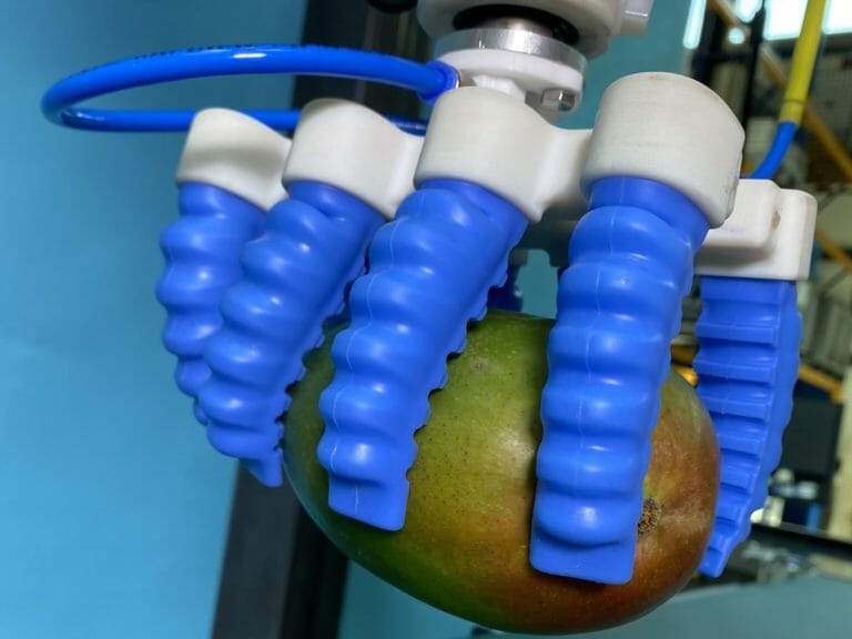 Diseño higiénico de pinzas para 3 importantes aplicaciones robóticas en la industria alimentaria 2 hygienic gripper for mangos