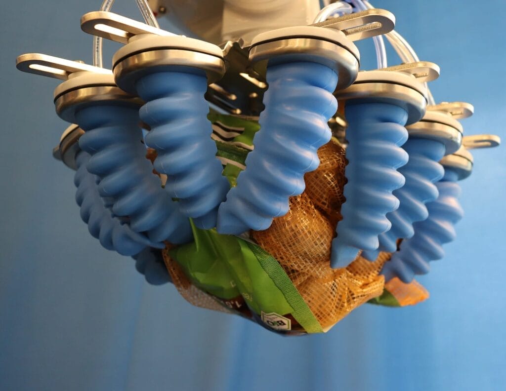 img 4347.jpg compressed e1722411952542