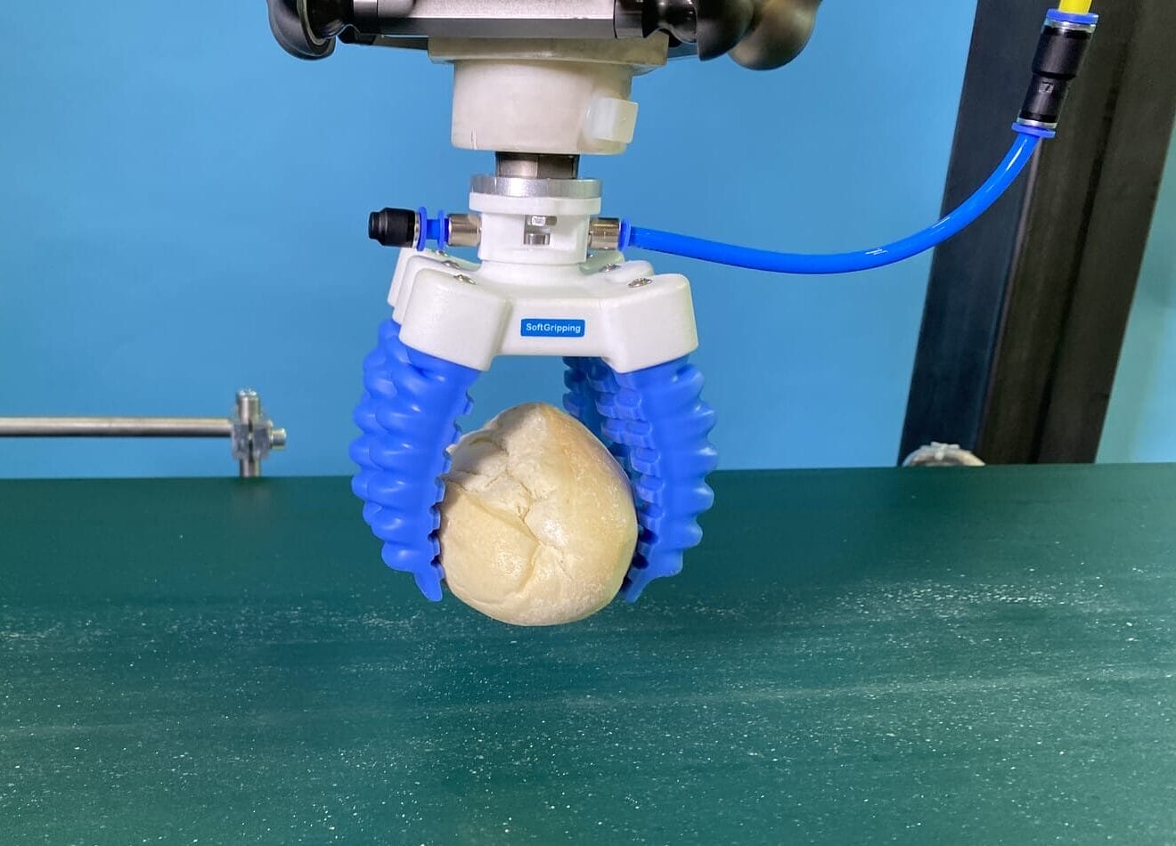 img 8781 2.heic compressed e1726065841733