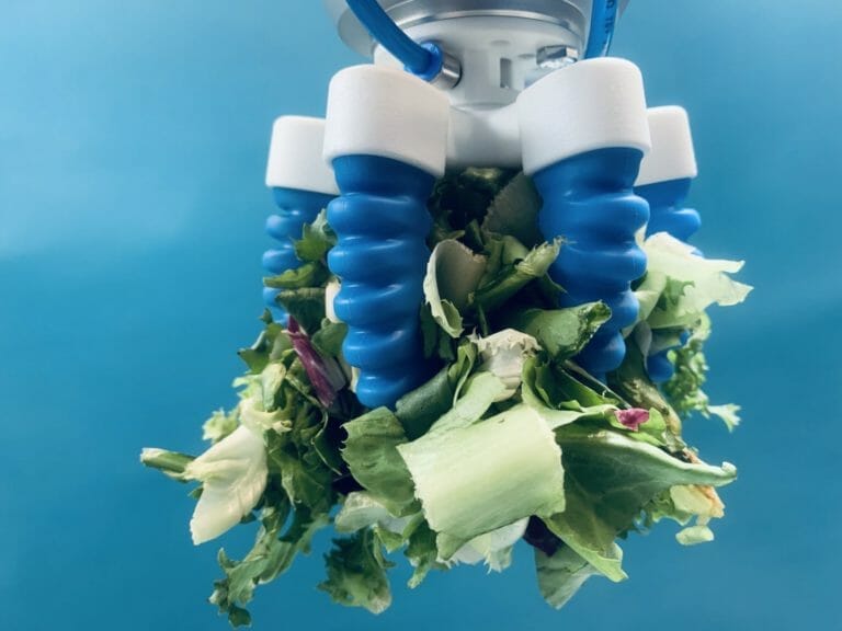 Ensalada mixta 3 una pinza suave para manipular ensalada y verduras sueltas