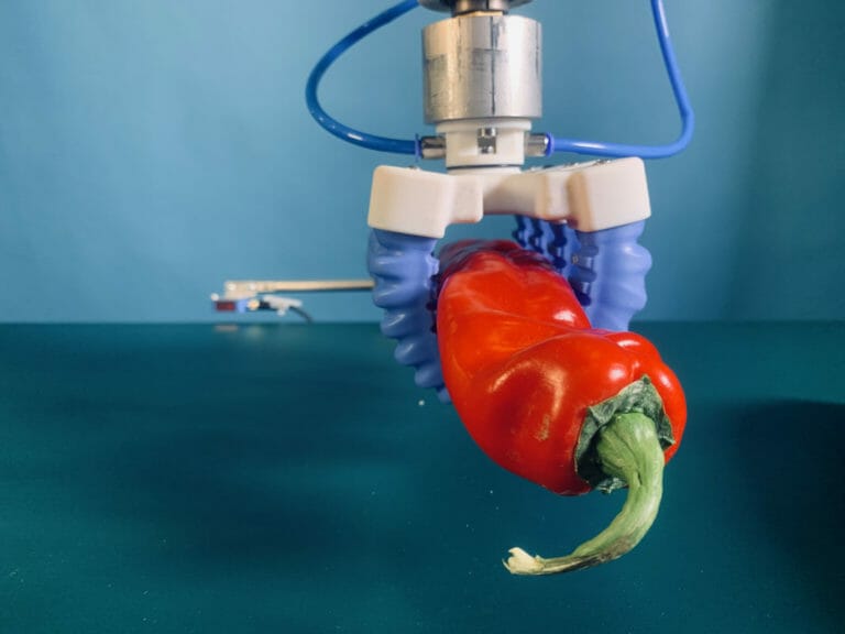 Application à grande vitesse pour le traitement du maïs et d'autres légumes longs 4 poivre long manipulé par une pince robotisée