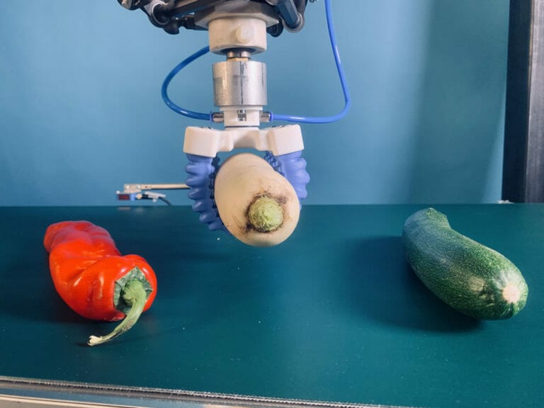 Application à grande vitesse pour le traitement du maïs et d'autres légumes longs 3 radis dans des pinces robotisées déplacées à grande vitesse