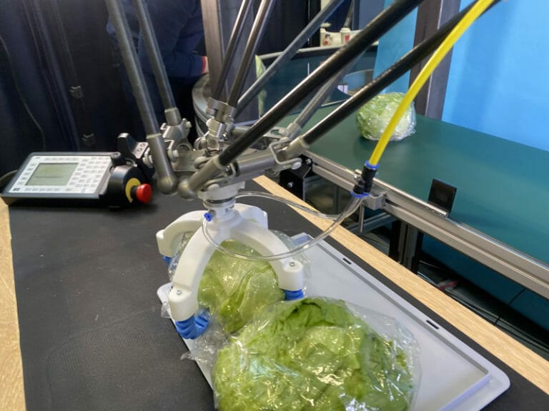 placing cabbages with a delta robot using a soft gripper