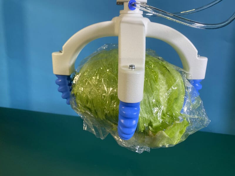 soft gripper holding on a large cabbage packed in plastic foil