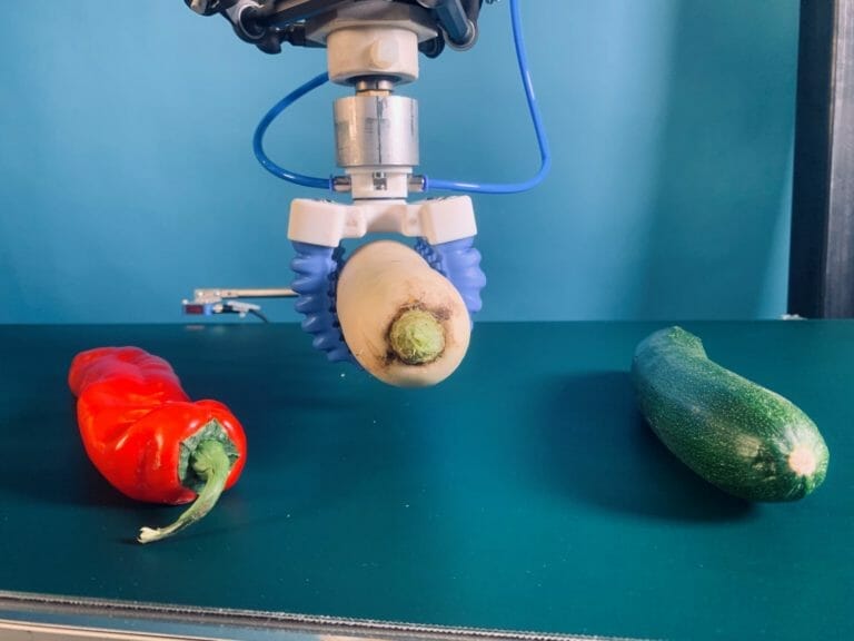 manipolazione di peperoni, rossi e cetrioli utilizzando una pinza robotica morbida