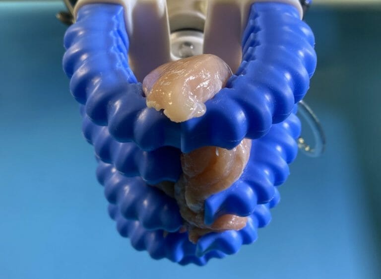 Greifen von rohen Hühnerfiletstücken