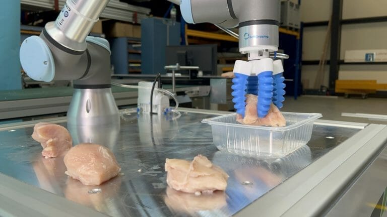 placing chicken breast into plastic crates