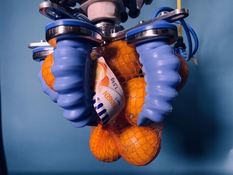 SoftGripper for irregular nets of oranges